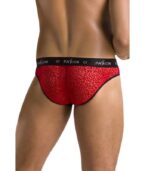 PASSION - 031 SLIP MIKE ROUGE S/M