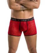 PASSION - 046 SHORT PARKER ROUGE L/XL