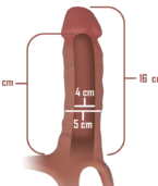 INTENSE - HARNAIS CREUX AVEC GODE EN SILICONE 16 X 3