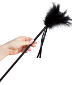 SECRETPLAY - PLUMES NOIRES 40 CM