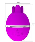 PRETTY LOVE - VIBRATEUR ROND EN SILICONE GEMINI BALL VIOLET