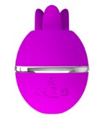 PRETTY LOVE - VIBRATEUR ROND EN SILICONE GEMINI BALL VIOLET