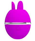 PRETTY LOVE - VIBRATEUR ROND EN SILICONE GEMINI BALL VIOLET