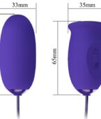 PRETTY LOVE - STIMULATEUR VIBRATEUR RECHARGEABLE DAISY YOUTH VIOLET