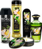 SHUNGA - KIT DE JARDIN EDO COLLECTION BIO