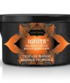 KAMASUTRA - BOUGIE DE MASSAGE MANCHE TROPICAL 170 GR