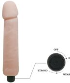 BAILE - VIBRATEUR GODE LOVE COMPANION 25 CM