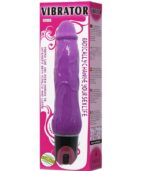 BAILE - VIBRATEUR MULTIVITESSES DAAPLY PLEASURE VIOLET