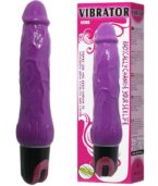 BAILE - VIBRATEUR MULTIVITESSES DAAPLY PLEASURE VIOLET