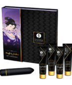 SHUNGA - KIT GEISHA COQUINÉE