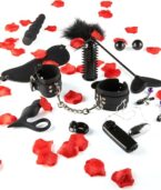 TOYJOY - KIT DE JOUETS SEXUELS DE PLAISIR INCROYABLE