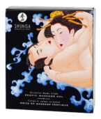 SHUNGA - GEL DE MASSAGE ÉROTIQUE ORIENTAL CORPS À CORPS AUX FRUITS EXOTIQUES