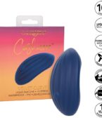 CALEXOTICS - CASHMERE VELOURS CURVE BLEU