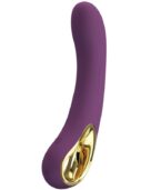 PRETTY LOVE - ETHAN VIBRATEUR RECHARGEABLE VIOLET