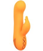 CALEXOTICS - MONTECITO MUSE VIBRATEUR LAPIN ORANGE PAR CALIFORNIA DREAMING