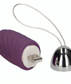 ARMONY - JIUUY OEUF VIBRANT GRANULAIRE TÉLÉCOMMANDE VIOLET