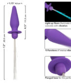 CALEXOTICS - SOUTHERN LIGHTS LIGHT UP PLUG ANAL10 VIBRATIONS SILICONE VIOLET